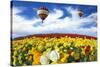Beautiful Spring Weather, Two Beautiful Big Balloons Flying over the Field. the Huge Field of White-kavram-Stretched Canvas