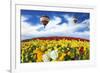 Beautiful Spring Weather, Two Beautiful Big Balloons Flying over the Field. the Huge Field of White-kavram-Framed Photographic Print