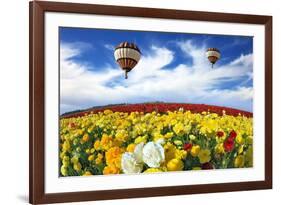 Beautiful Spring Weather, Two Beautiful Big Balloons Flying over the Field. the Huge Field of White-kavram-Framed Photographic Print