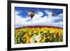 Beautiful Spring Weather, Two Beautiful Big Balloons Flying over the Field. the Huge Field of White-kavram-Framed Photographic Print