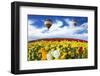 Beautiful Spring Weather, Two Beautiful Big Balloons Flying over the Field. the Huge Field of White-kavram-Framed Photographic Print