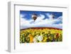 Beautiful Spring Weather, Two Beautiful Big Balloons Flying over the Field. the Huge Field of White-kavram-Framed Photographic Print