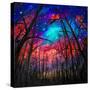 Beautiful Starry Sky Through Trees -Square-Valery Rybakow-Stretched Canvas