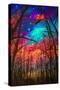 Beautiful Starry Sky Through Trees  -Vertical-Valery Rybakow-Stretched Canvas