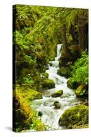 Beautiful stream in the lush Tongass National Forest, Alaska-Mark A Johnson-Stretched Canvas