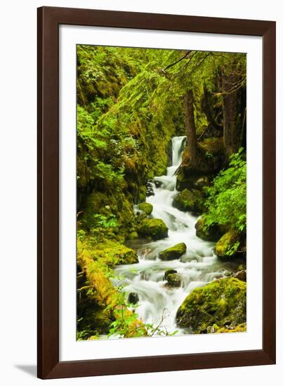 Beautiful stream in the lush Tongass National Forest, Alaska-Mark A Johnson-Framed Photographic Print