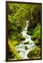 Beautiful stream in the lush Tongass National Forest, Alaska-Mark A Johnson-Framed Photographic Print