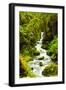 Beautiful stream in the lush Tongass National Forest, Alaska-Mark A Johnson-Framed Photographic Print