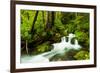 Beautiful stream in the lush Tongass National Forest, Alaska-Mark A Johnson-Framed Photographic Print