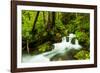 Beautiful stream in the lush Tongass National Forest, Alaska-Mark A Johnson-Framed Photographic Print