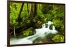 Beautiful stream in the lush Tongass National Forest, Alaska-Mark A Johnson-Framed Photographic Print