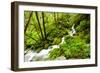 Beautiful stream in the lush Tongass National Forest, Alaska-Mark A Johnson-Framed Photographic Print