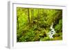 Beautiful stream in the lush Tongass National Forest, Alaska-Mark A Johnson-Framed Photographic Print