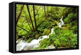 Beautiful stream in the lush Tongass National Forest, Alaska-Mark A Johnson-Framed Stretched Canvas