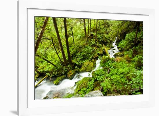 Beautiful stream in the lush Tongass National Forest, Alaska-Mark A Johnson-Framed Photographic Print