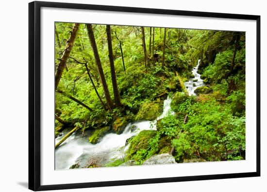 Beautiful stream in the lush Tongass National Forest, Alaska-Mark A Johnson-Framed Photographic Print