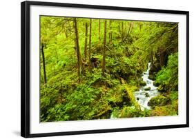 Beautiful stream in the lush Tongass National Forest, Alaska-Mark A Johnson-Framed Photographic Print
