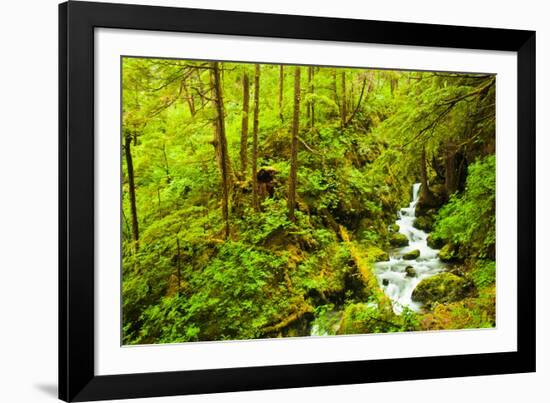 Beautiful stream in the lush Tongass National Forest, Alaska-Mark A Johnson-Framed Photographic Print