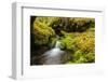 Beautiful stream in the lush Tongass National Forest, Alaska-Mark A Johnson-Framed Photographic Print