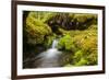 Beautiful stream in the lush Tongass National Forest, Alaska-Mark A Johnson-Framed Photographic Print