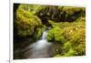 Beautiful stream in the lush Tongass National Forest, Alaska-Mark A Johnson-Framed Photographic Print