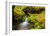 Beautiful stream in the lush Tongass National Forest, Alaska-Mark A Johnson-Framed Photographic Print