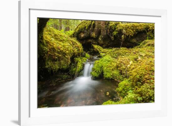 Beautiful stream in the lush Tongass National Forest, Alaska-Mark A Johnson-Framed Photographic Print