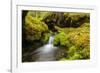 Beautiful stream in the lush Tongass National Forest, Alaska-Mark A Johnson-Framed Photographic Print