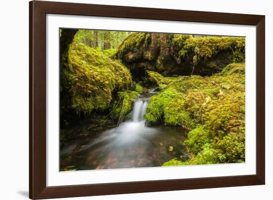 Beautiful stream in the lush Tongass National Forest, Alaska-Mark A Johnson-Framed Photographic Print