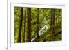 Beautiful stream in the lush Tongass National Forest, Alaska-Mark A Johnson-Framed Photographic Print