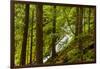 Beautiful stream in the lush Tongass National Forest, Alaska-Mark A Johnson-Framed Photographic Print