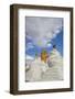 Beautiful Stupa in Downtown-Guido Cozzi-Framed Photographic Print