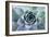 Beautiful Succulent with Water Drops-Yastremska-Framed Photographic Print