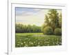 Beautiful Summer Landscape, Canvas, Oil-balaikin2009-Framed Art Print