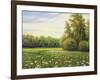 Beautiful Summer Landscape, Canvas, Oil-balaikin2009-Framed Art Print