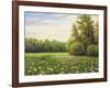 Beautiful Summer Landscape, Canvas, Oil-balaikin2009-Framed Art Print