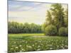 Beautiful Summer Landscape, Canvas, Oil-balaikin2009-Mounted Art Print