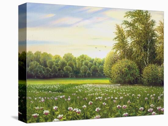 Beautiful Summer Landscape, Canvas, Oil-balaikin2009-Stretched Canvas