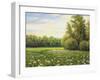 Beautiful Summer Landscape, Canvas, Oil-balaikin2009-Framed Art Print