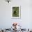 Beautiful Sunbird (Cinnyris Pulchella)-James Hager-Framed Photographic Print displayed on a wall