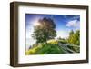 Beautiful Sunny Day is in Mountain Landscape. Carpathian, Ukraine, Europe. Beauty World.-Leonid Tit-Framed Photographic Print