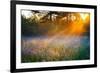 Beautiful Sunrise over a Summer Blossoming Meadow-yanikap-Framed Photographic Print