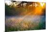 Beautiful Sunrise over a Summer Blossoming Meadow-yanikap-Mounted Photographic Print