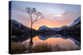 Beautiful Sunrise over Buttermere in the English Lake District-Tony Allaker-Stretched Canvas