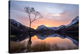 Beautiful Sunrise over Buttermere in the English Lake District-Tony Allaker-Stretched Canvas