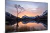 Beautiful Sunrise over Buttermere in the English Lake District-Tony Allaker-Mounted Photographic Print