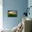 Beautiful Sunset, Field with Pathway to Sun, Green Wheat-Oleg Saenco-Framed Stretched Canvas displayed on a wall
