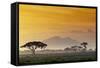 Beautiful Sunset in Kenya 03-Andrzej Kubik-Framed Stretched Canvas