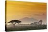 Beautiful Sunset in Kenya 03-Andrzej Kubik-Stretched Canvas