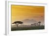 Beautiful Sunset in Kenya 03-Andrzej Kubik-Framed Photographic Print